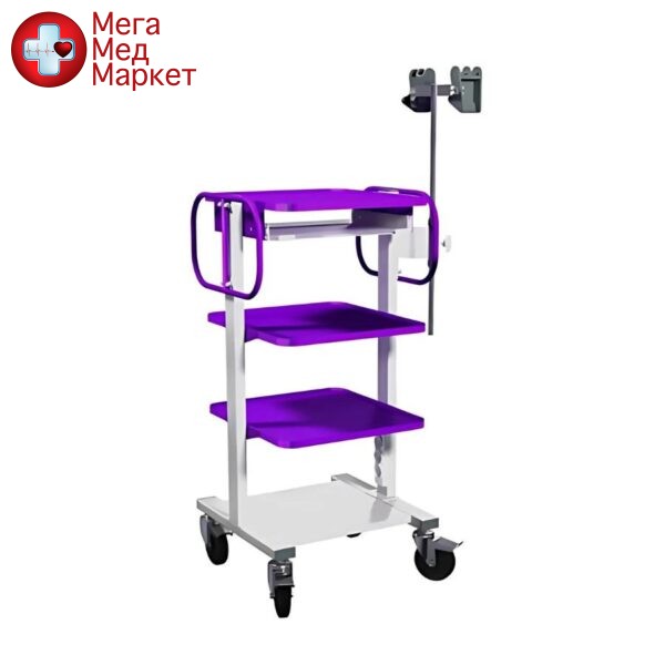 Стойка эндоскопическая СТЕ-6